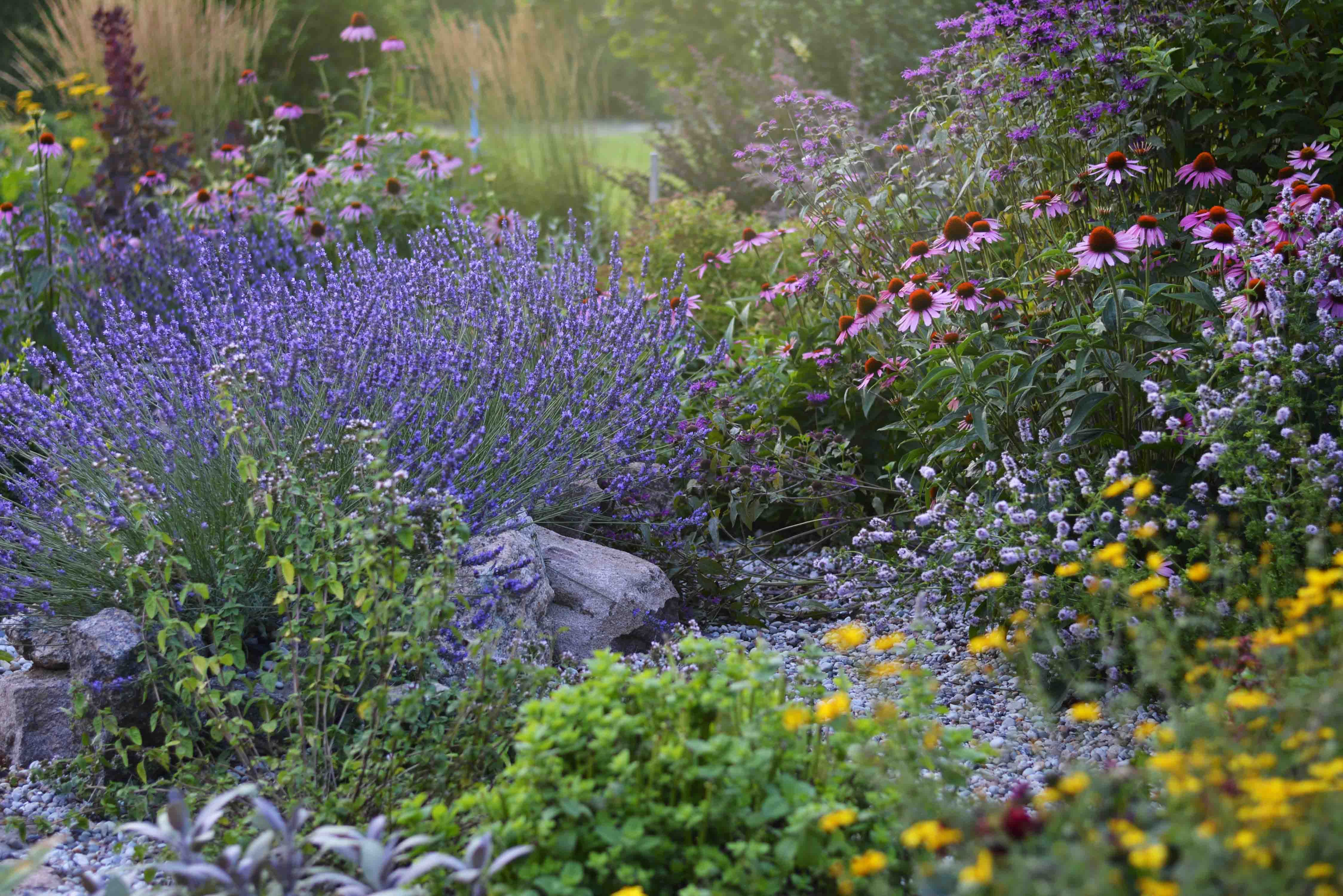 Freshly planted landscape bed with mulch